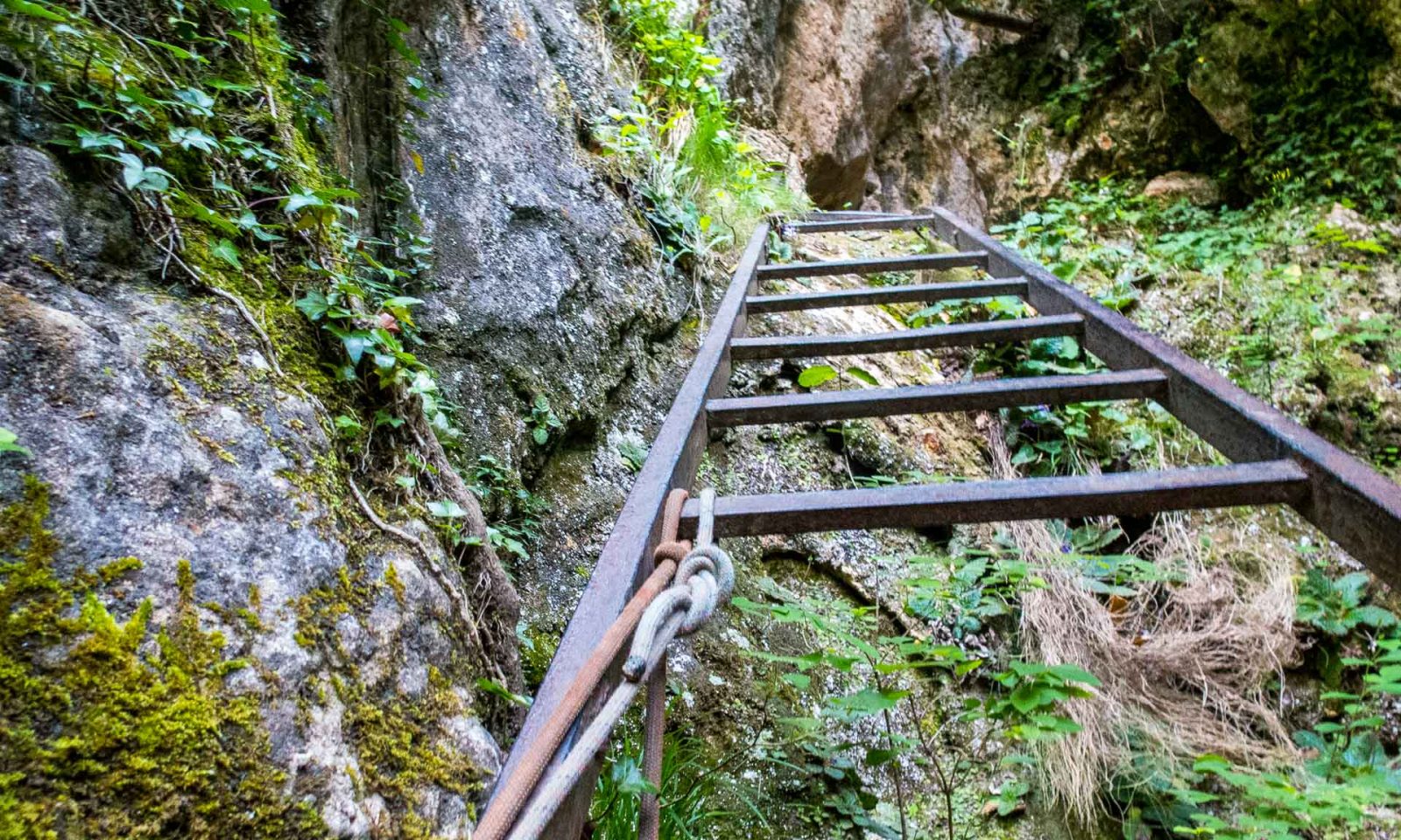 Malanyeu i el Griell de Cal Pigot