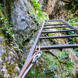 Malanyeu i el Griell de Cal Pigot