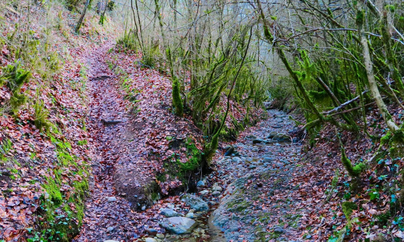 Sant Miquel i les Canals