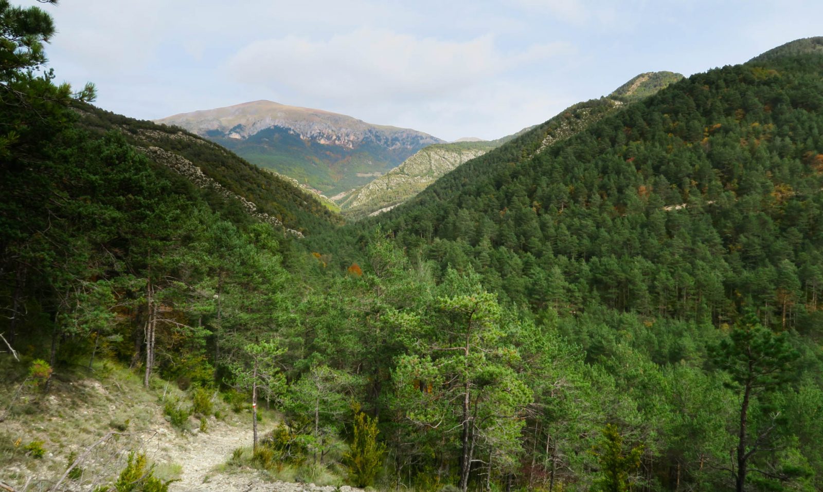 Cap a la mina de Petroli de Riutort