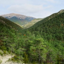 Cap a la mina de Petroli de Riutort
