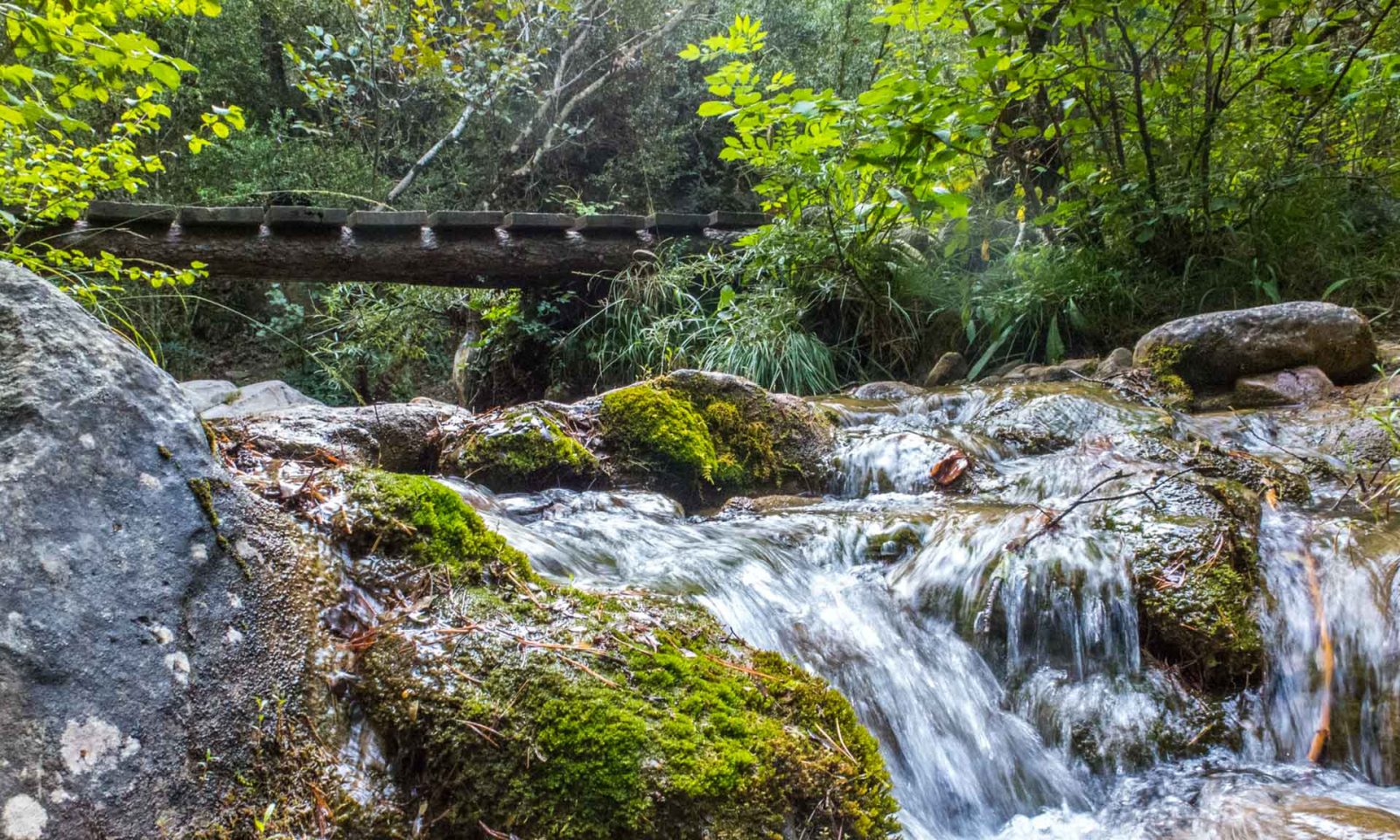 El Bullidor de la Llet i els Empedrats