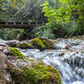 El Bullidor de la Llet i els Empedrats
