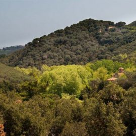 Sant Iscle de Vallalta