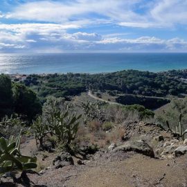 Camí de la Vallalta