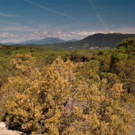 Pujada a la Creu de Canet