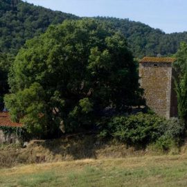 Vallgorguina (Vallès Oriental)