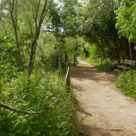 Altafulla (Tarragonès)