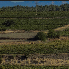 La serra dels Xops i la font de les Canyes
