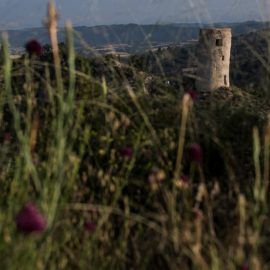 Castellfollit de Riubregós