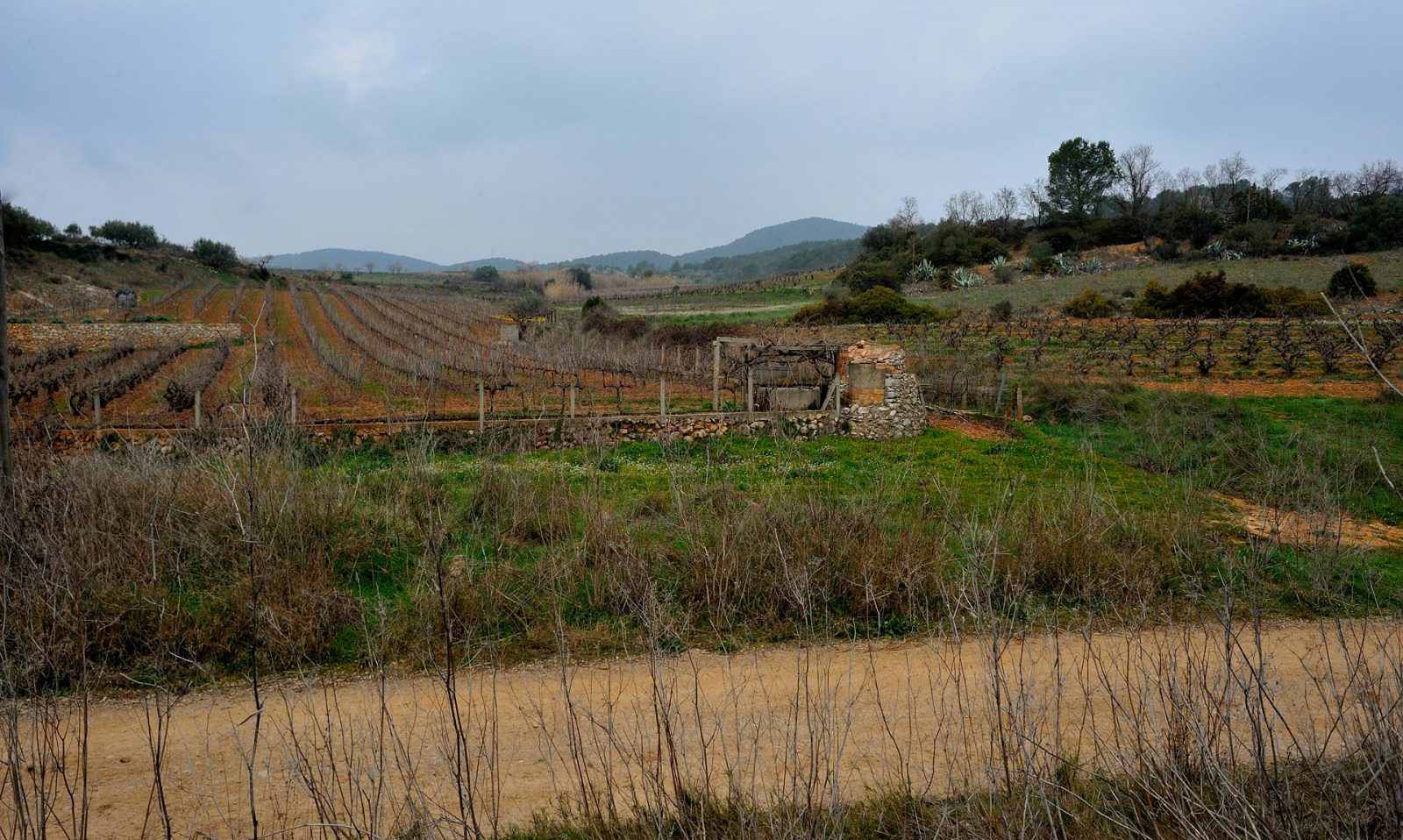 Passejant fins a l’Arcada