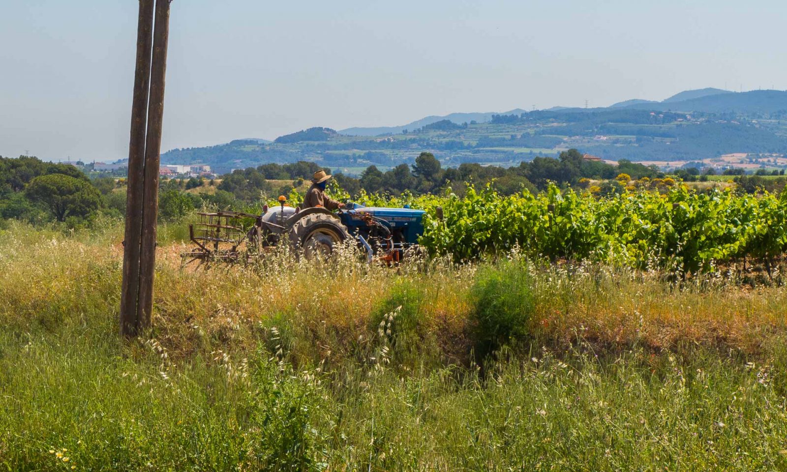La Via Augusta i la riera de Santa Fe