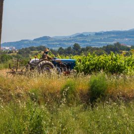La Via Augusta i la riera de Santa Fe
